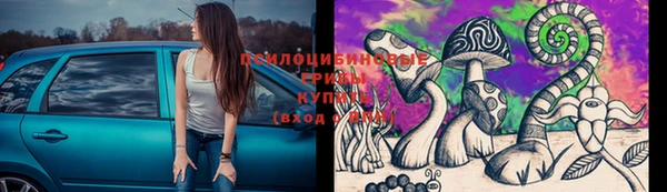 дмт Алексин