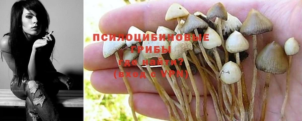 ешки Алексеевка
