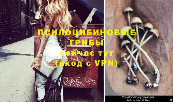 винт Абдулино