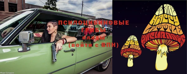 прущие крисы Абинск